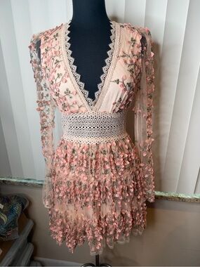 EB LUXE Floral Embroidered Tulle Long Sleeve Mini Dress Size Small NEW